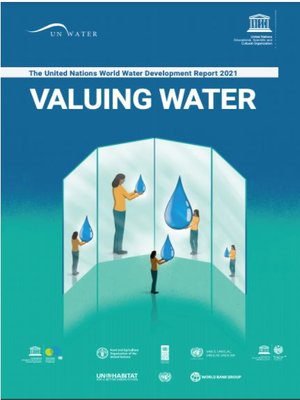 cover image of UN World Water Development Report 2021: Valuing Water
